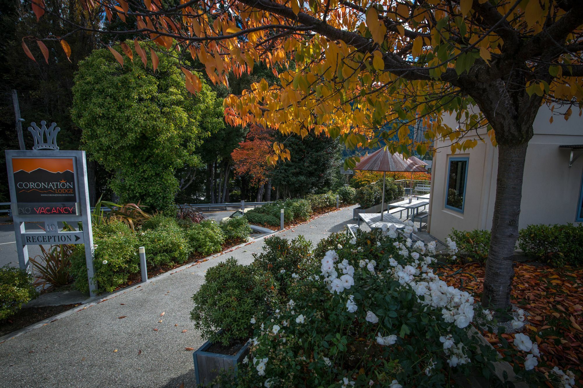 Coronation Lodge Distretto di Distretto di Queenstown Esterno foto