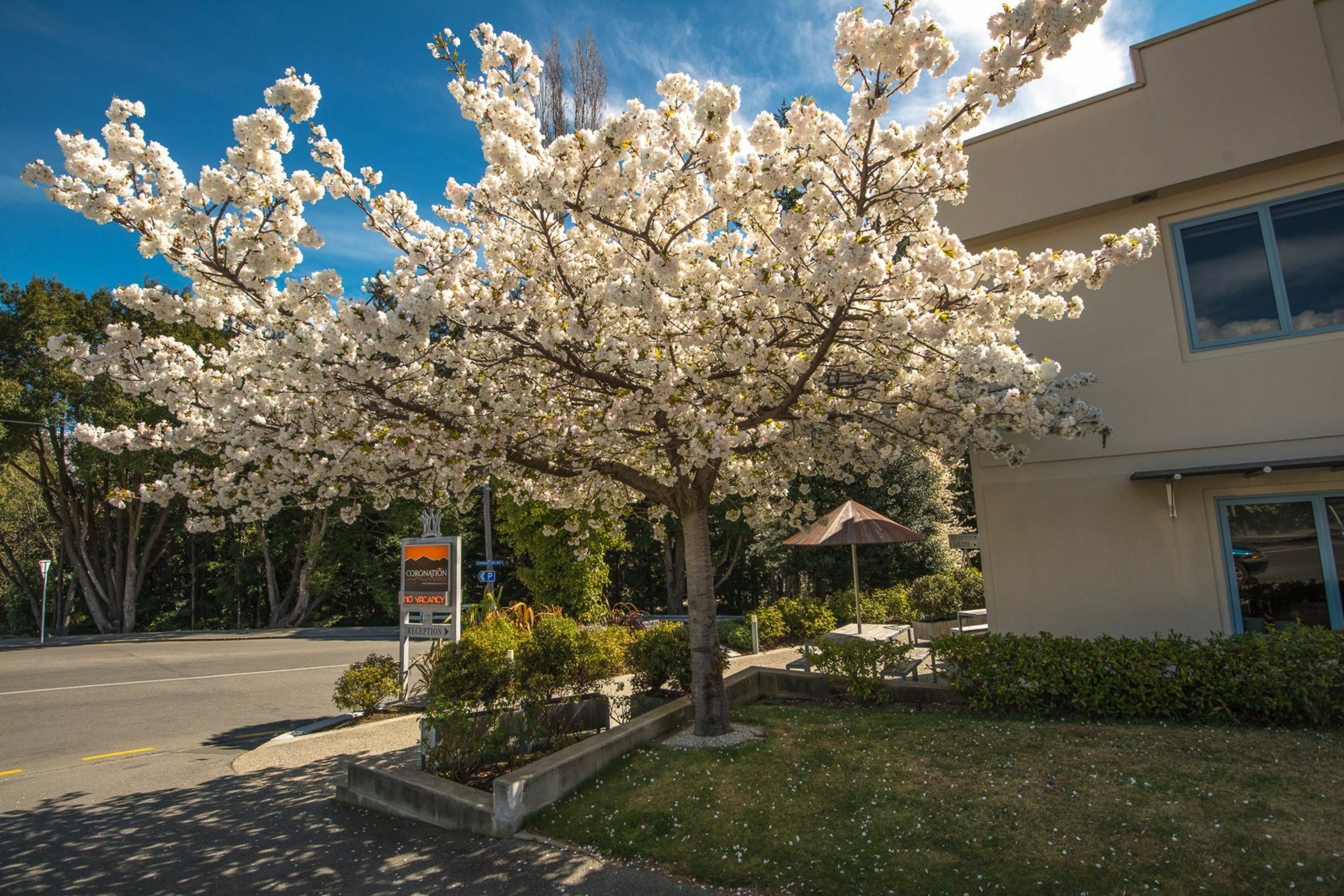 Coronation Lodge Distretto di Distretto di Queenstown Esterno foto